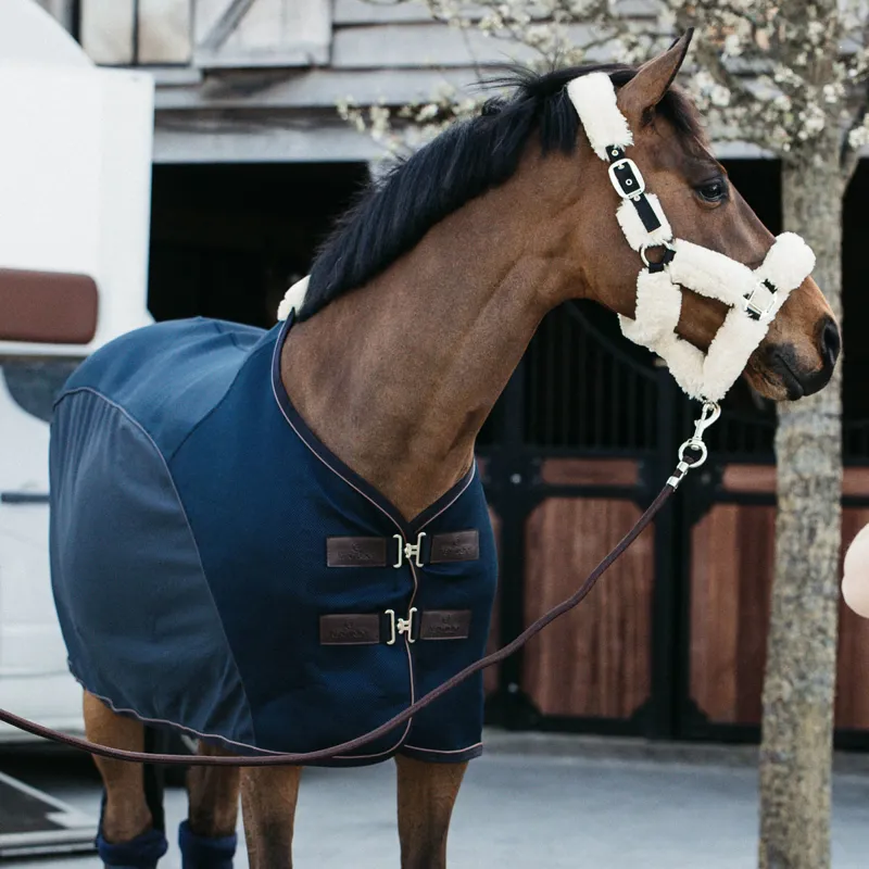 Kentucky Mesh-Combo Cooler Rug - Navy-1