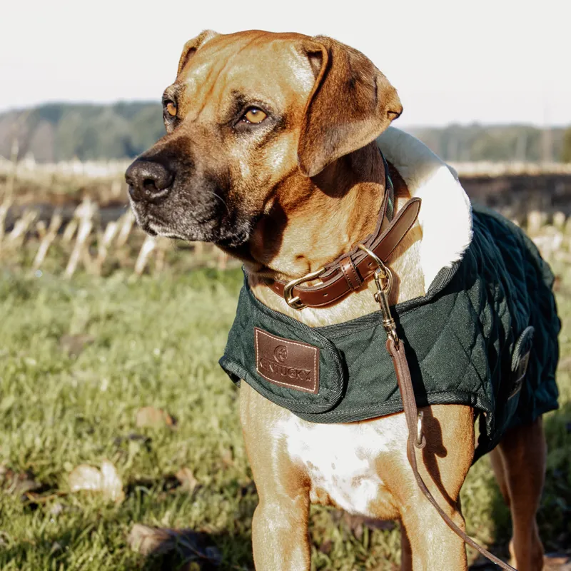 Kentucky Original Dog Coat - Dark Green