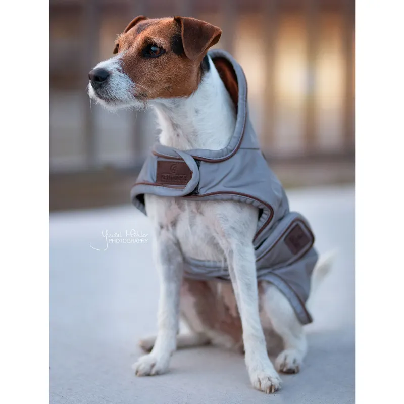 Kentucky Reflective Dog Coat - Silver-1