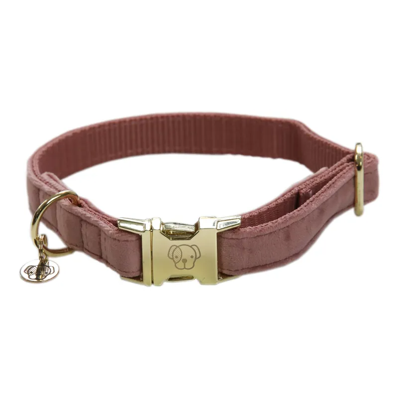Kentucky Velvet Dog Collar - Old Rose-3
