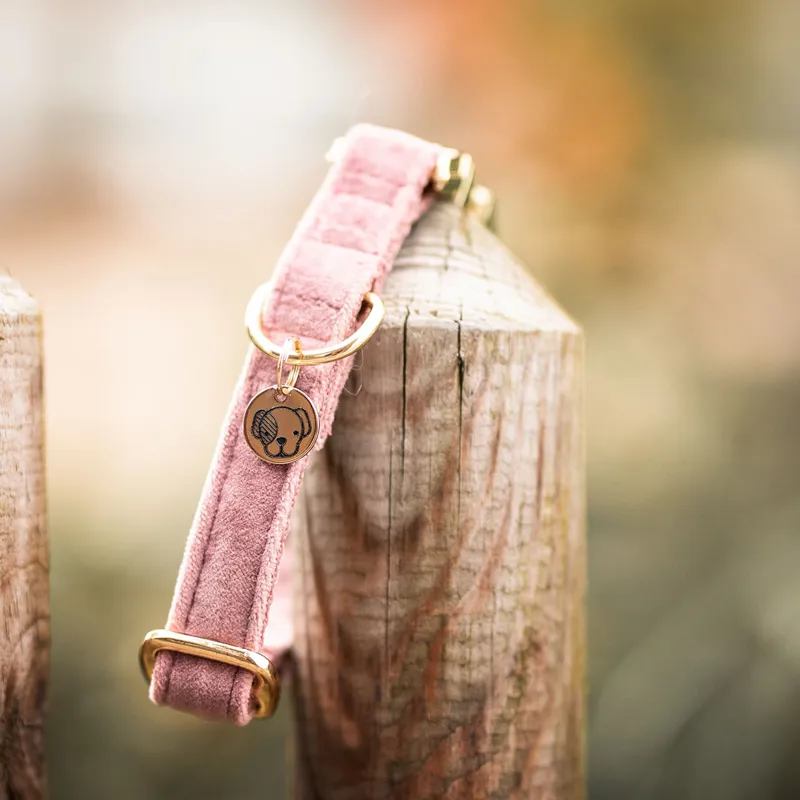 Kentucky Velvet Dog Collar - Old Rose-1