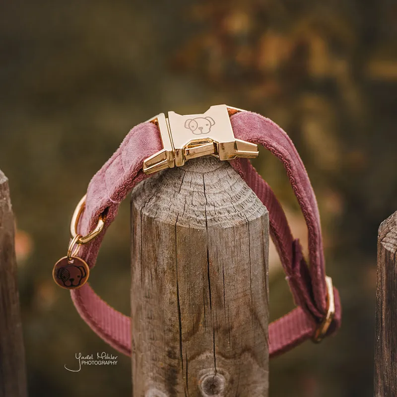 Kentucky Velvet Dog Collar - Old Rose-2