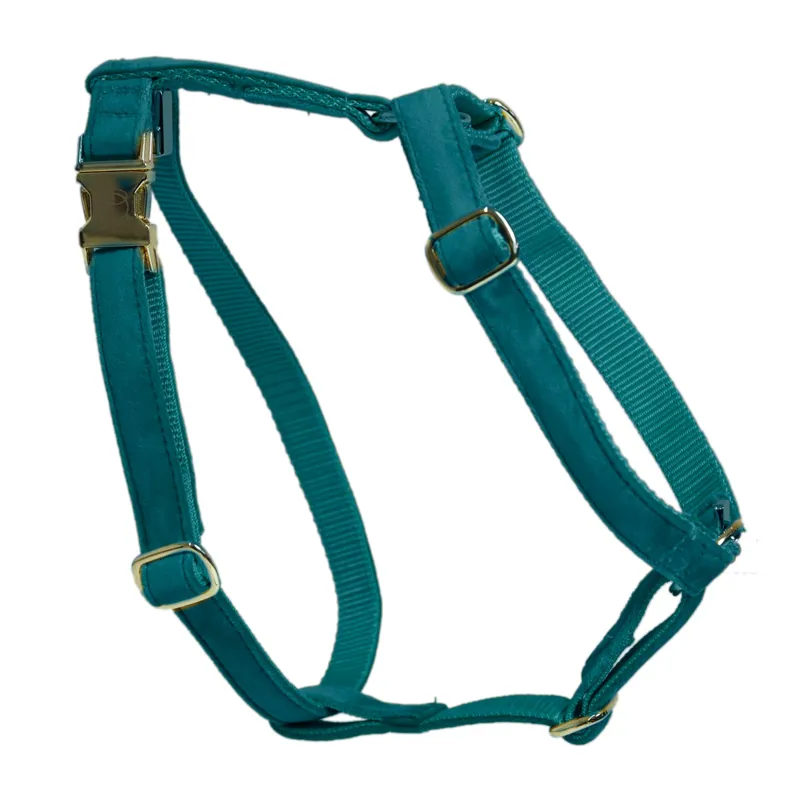 Kentucky Velvet Loop Dog Harness - Emerald-1