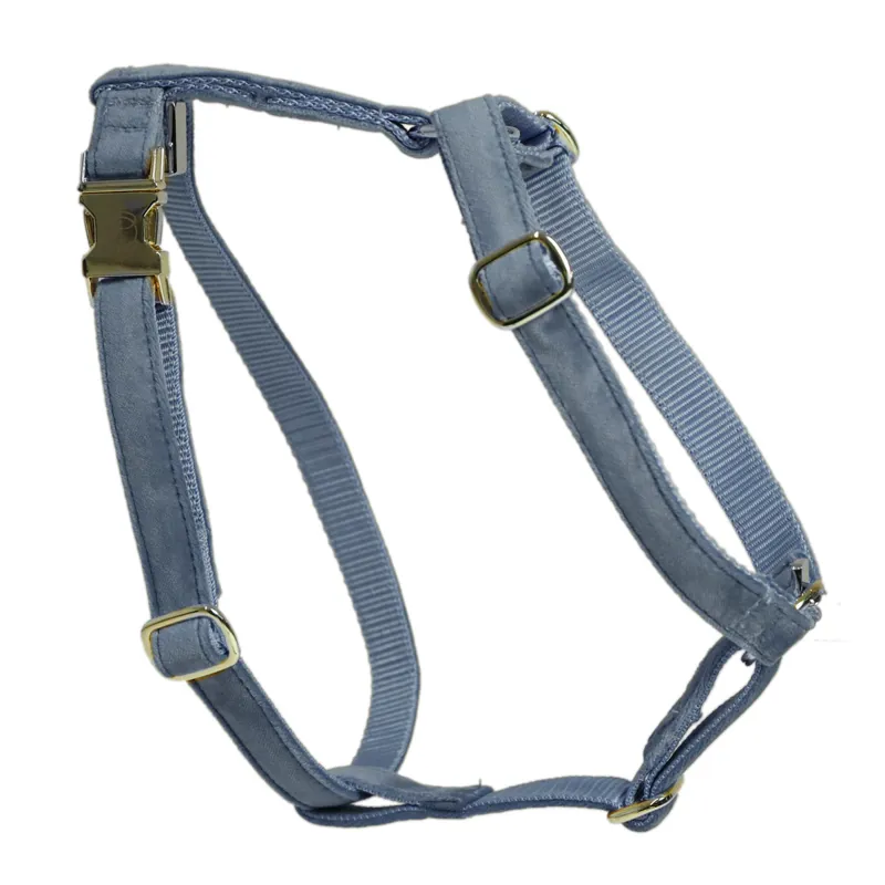 Kentucky Velvet Loop Dog Harness - Light Blue-1