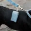 Kentucky Velvet Dog Square Poop Bag Holder - Light Blue