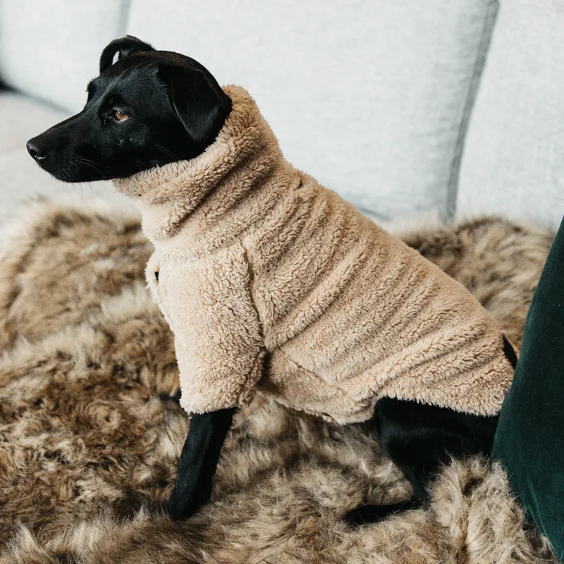 Kentucky Teddy Fleece Sweater Dog Rug - Beige-1
