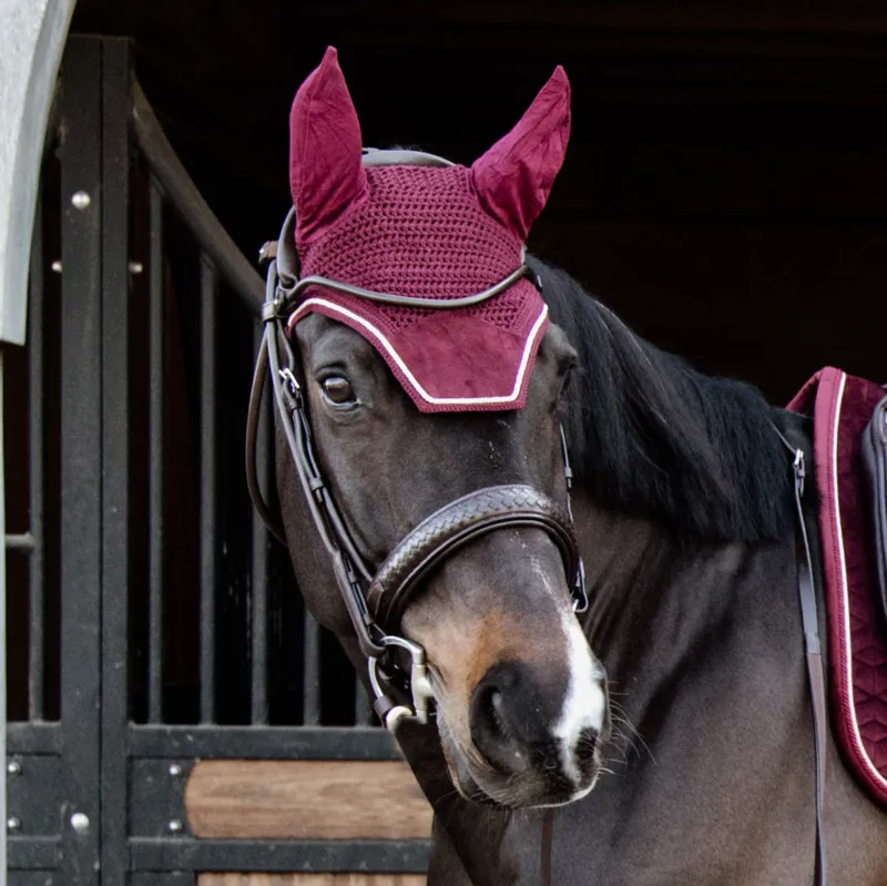 Kentucky Wellington Velvet Fly Veil - Bordeaux