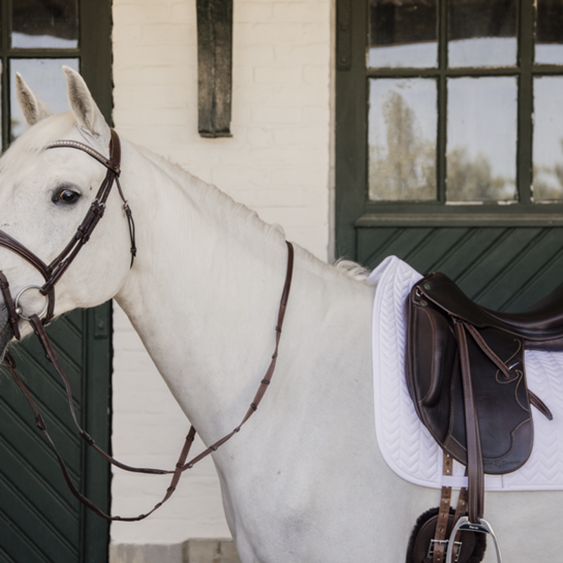 Kentucky Fishbone Dressage Saddlecloth - White-2