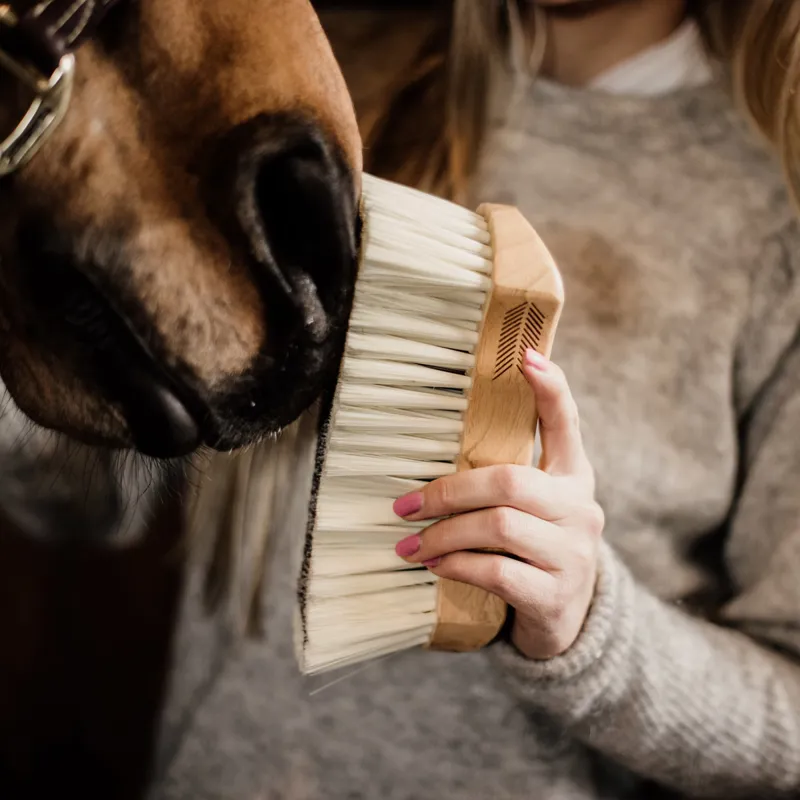 Grooming Deluxe Soft Middle Body Brush