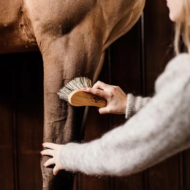 Grooming Deluxe Hard Middle Tampico Brush-1