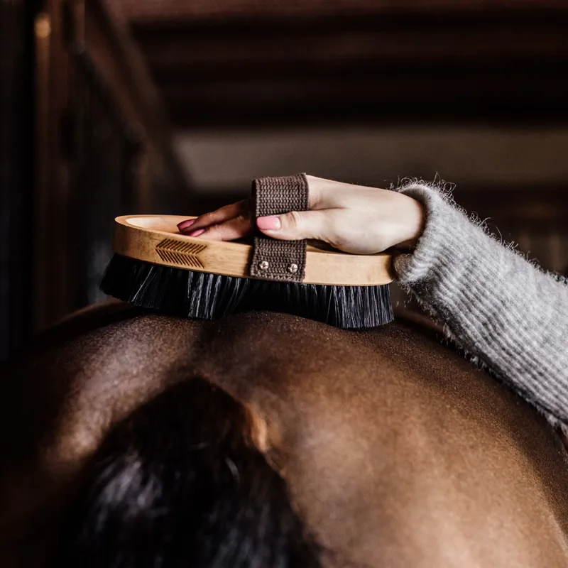 Grooming Deluxe Oval Hard Middle Body Brush-1