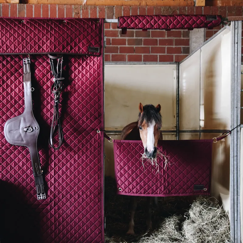 Kentucky Stable Head Protector - Bordeaux-1