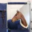 Kentucky Stable Head Protector - Navy