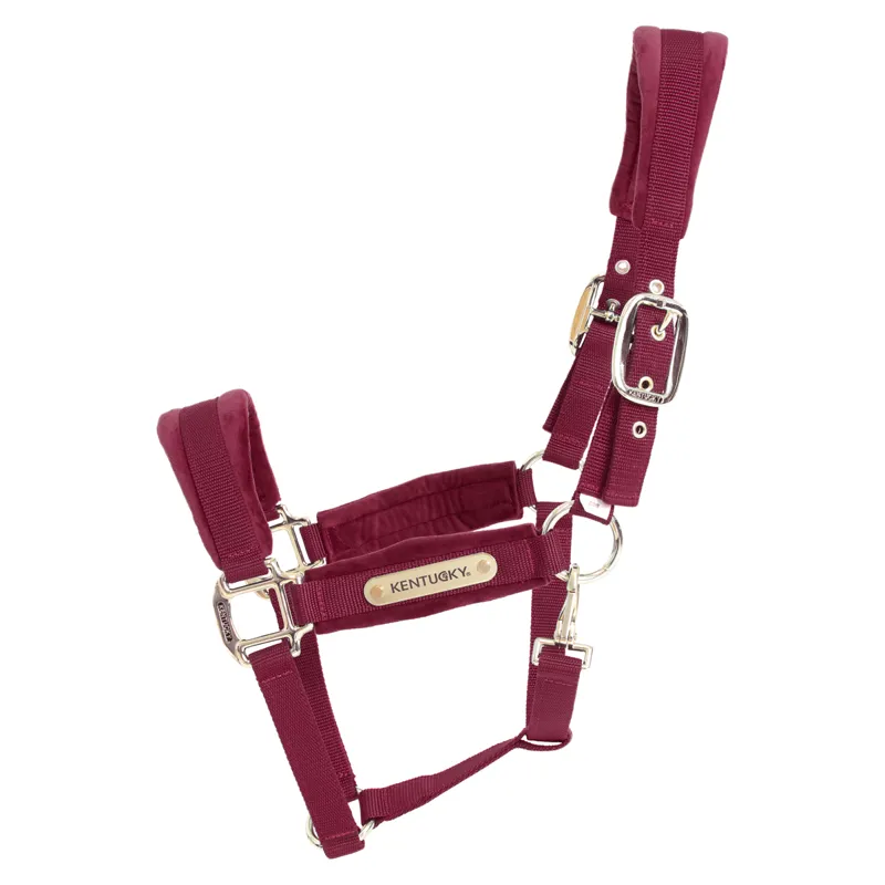 Kentucky Velvet Headcollar - Bordeaux-1