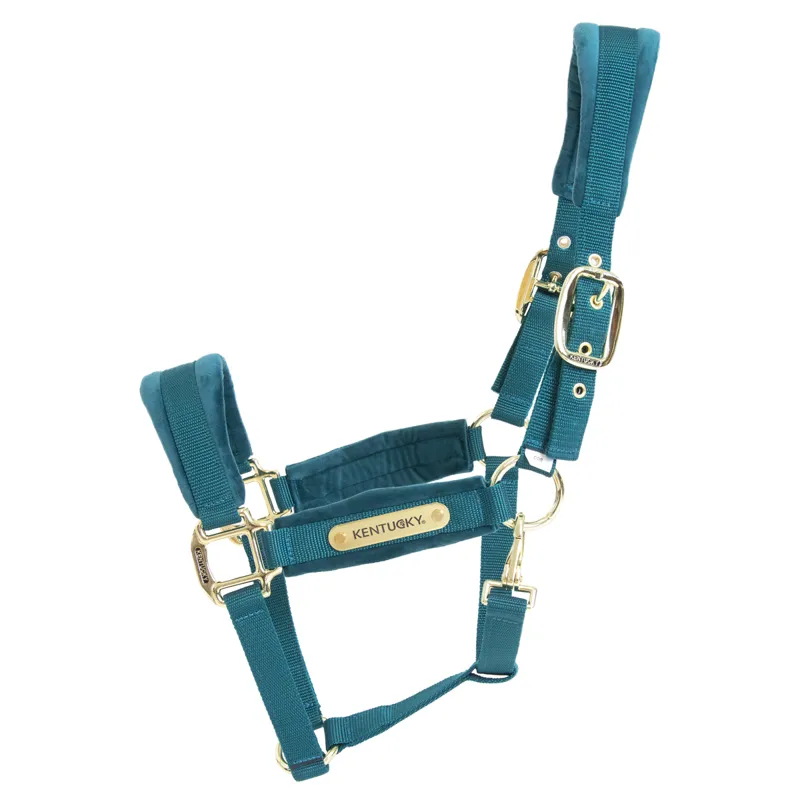 Kentucky Velvet Headcollar - Emerald-1
