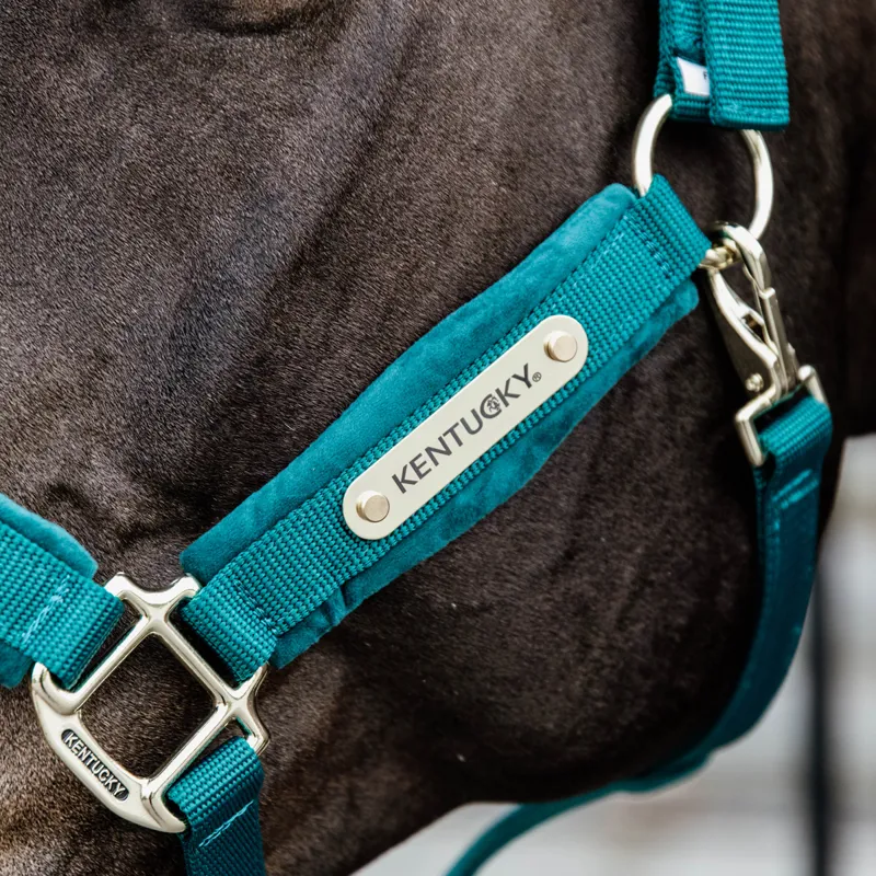 Kentucky Velvet Headcollar - Emerald-2