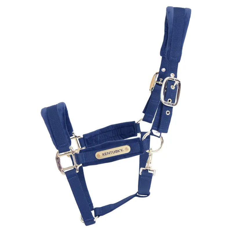 Kentucky Velvet Headcollar - Navy-1