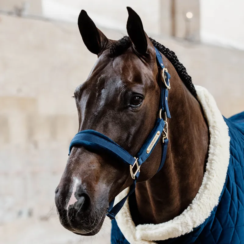 Kentucky Velvet Headcollar - Navy-3