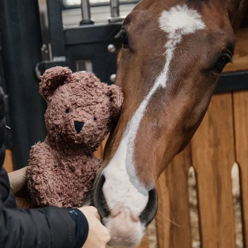 Kentucky Relax Horse Toy - Bear