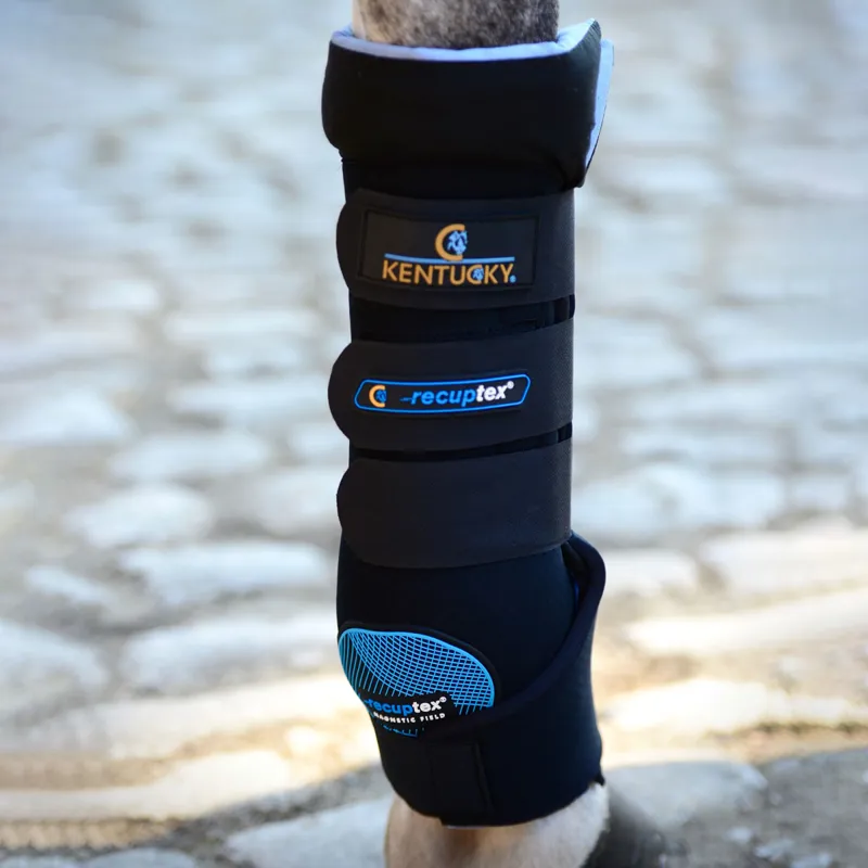 Kentucky Magnetic Recuptex Stable Boots-1
