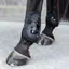 Kentucky Moonboot Air X Fetlock Boots - Black
