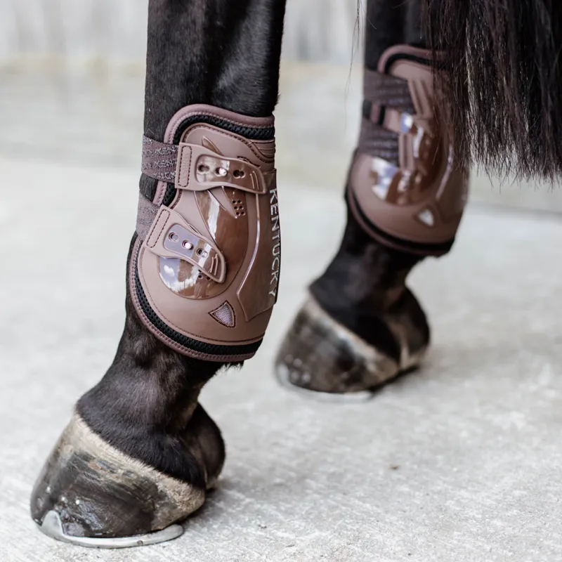 Brown tendon and fetlock boots sale