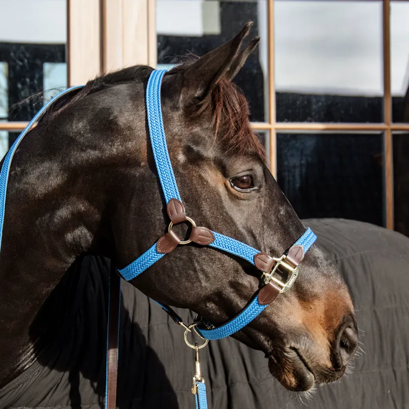 Kentucky Plaited Nylon Headcollar - Light Blue-1