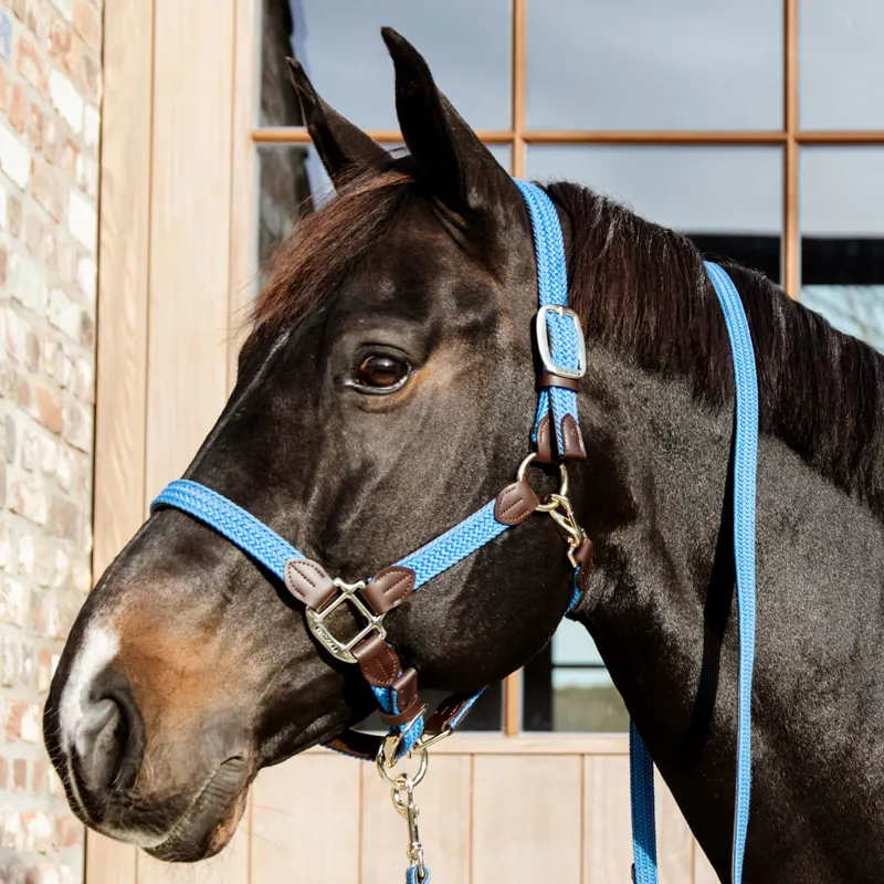 Kentucky Plaited Nylon Headcollar - Light Blue