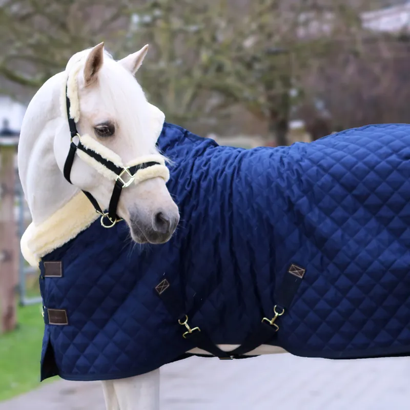 Kentucky 160g Show Rug - Navy-4