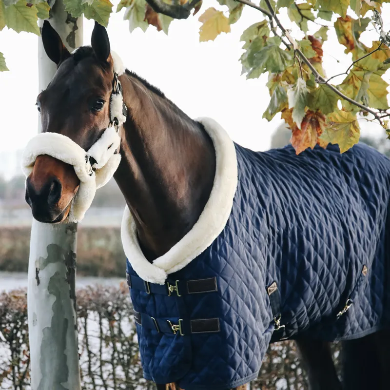 Kentucky 160g Show Rug - Navy-5
