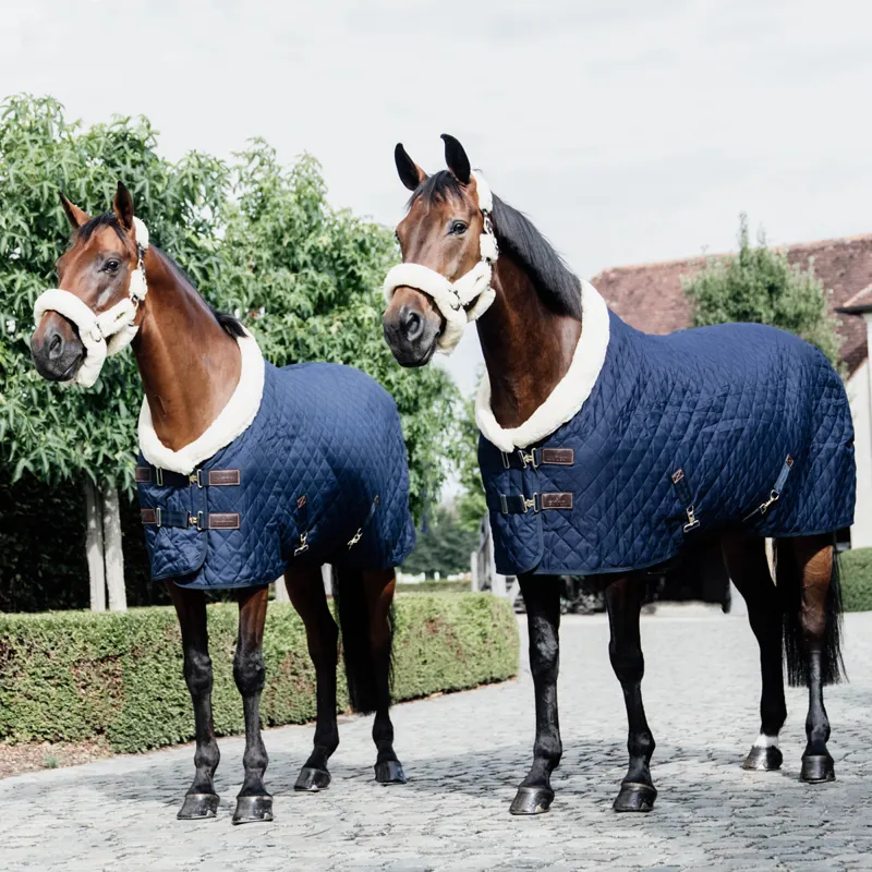 Kentucky 160g Show Rug - Navy-7