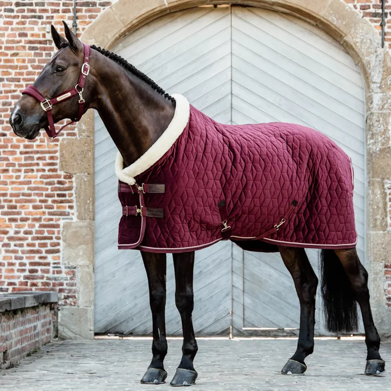 Kentucky Velvet Show Rug - Bordeaux