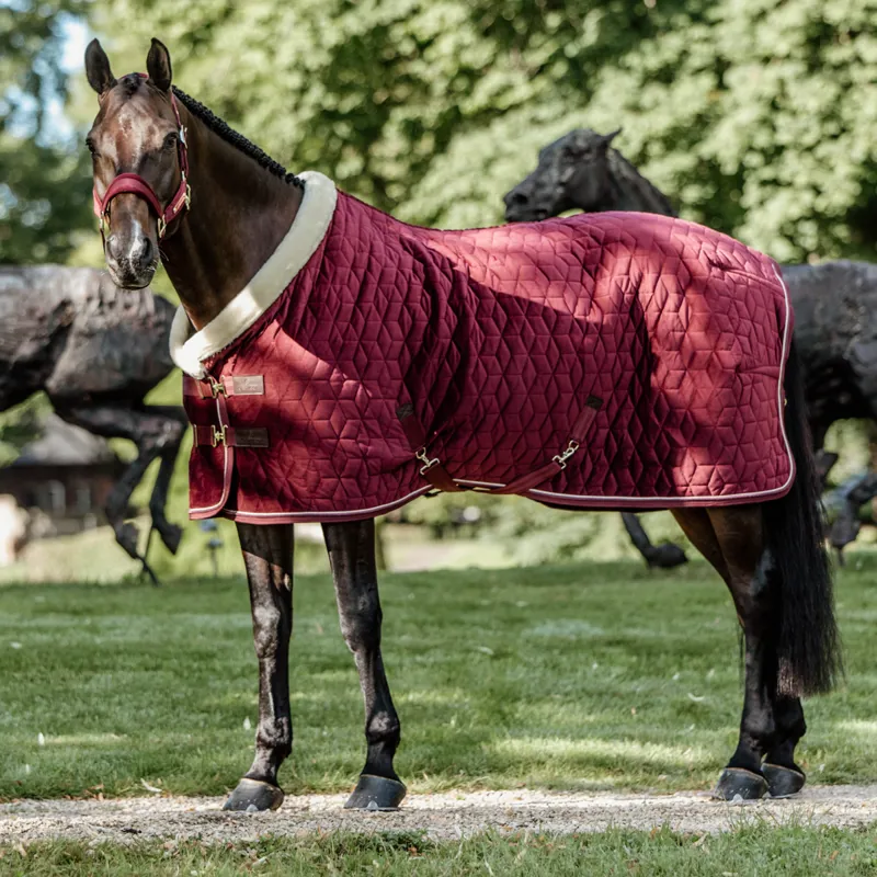 Kentucky Velvet Show Rug - Bordeaux-1