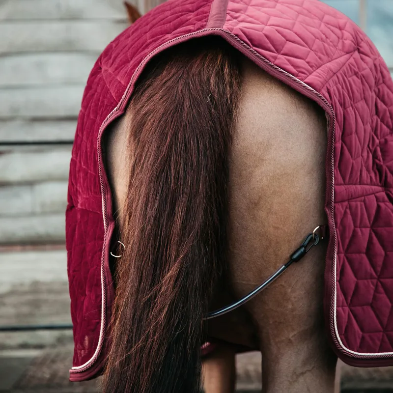 Kentucky Velvet Show Rug - Bordeaux-2