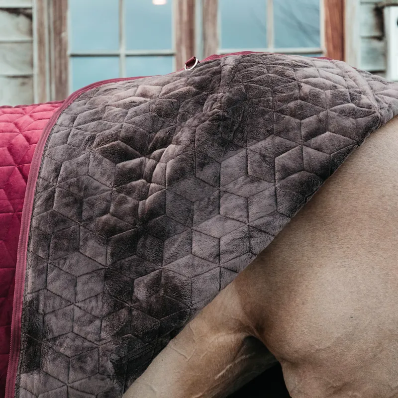 Kentucky Velvet Show Rug - Bordeaux-3