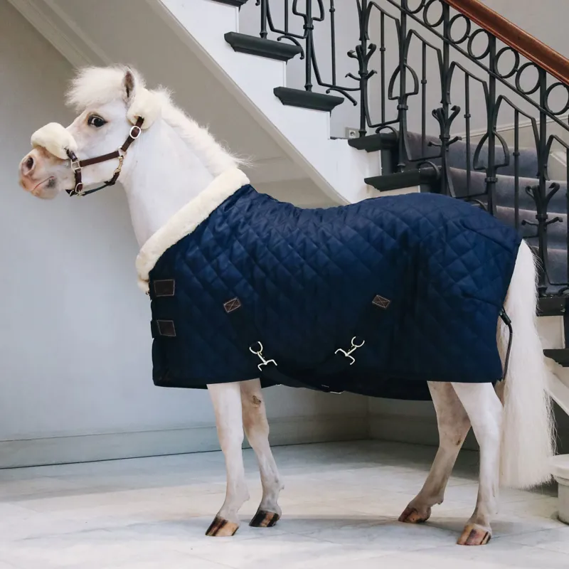 Kentucky 160g Tiny Show Rug - Navy