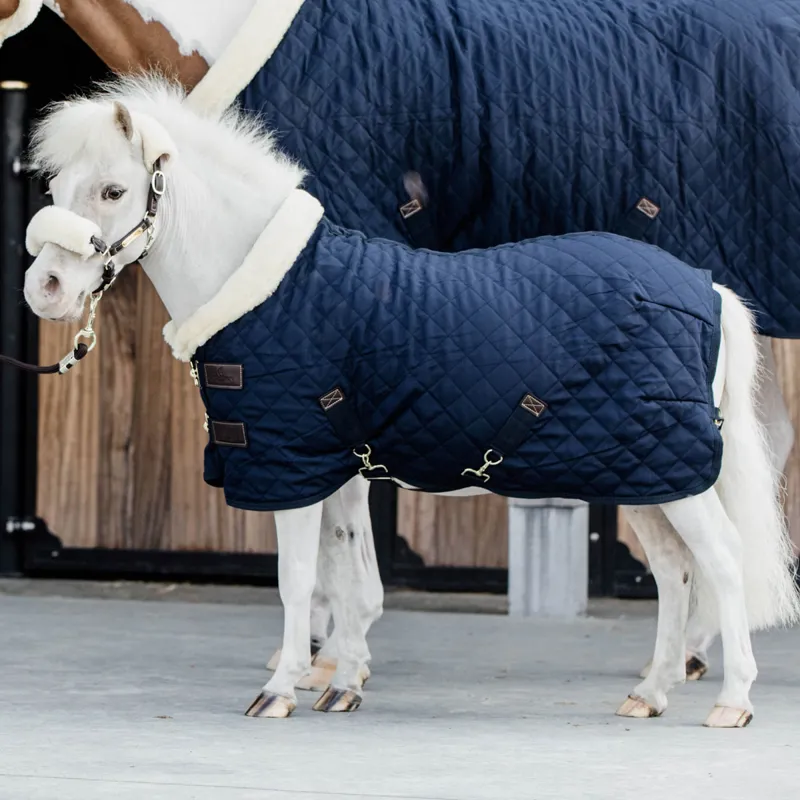 Kentucky 160g Tiny Show Rug - Navy-1