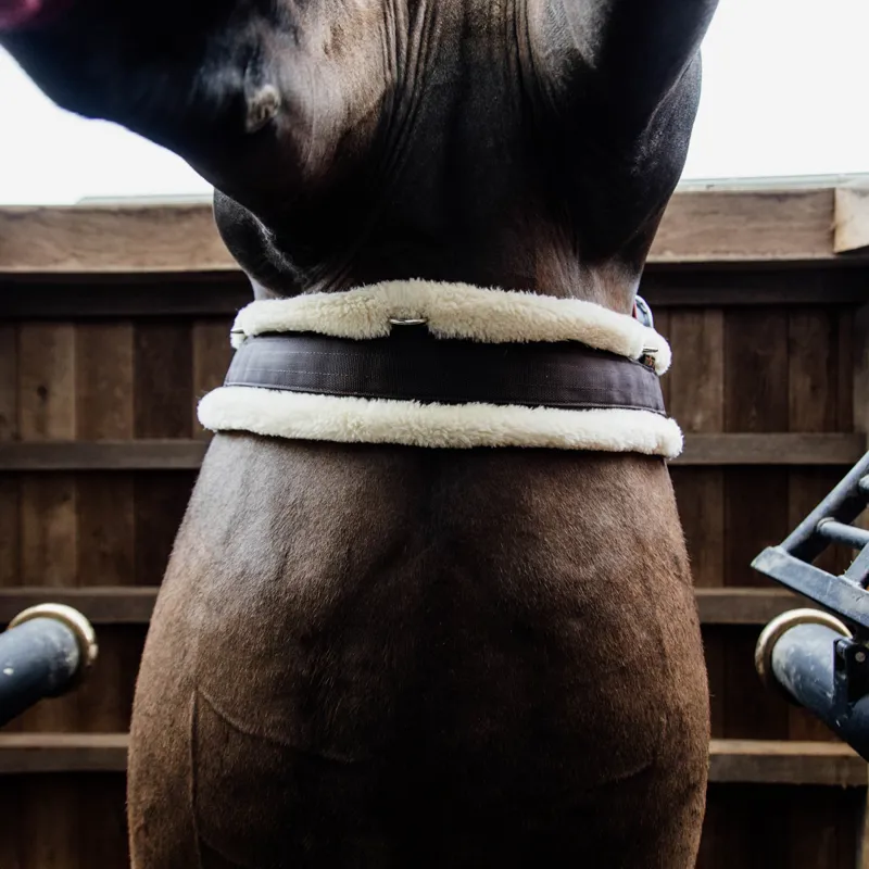 Kentucky Elasticated Sheepskin Girth - Brown-4