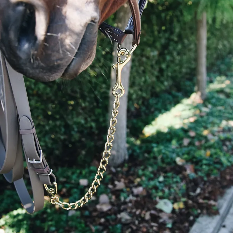 Kentucky Stallion Chain - Gold