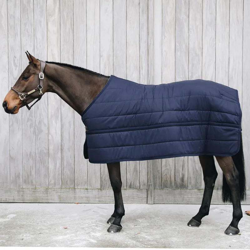 Kentucky 150g Skin Friendly Under Rug - Navy