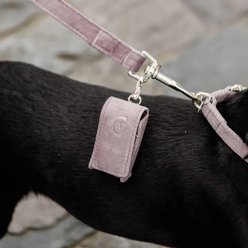 Poop bag that attaches to dog clearance