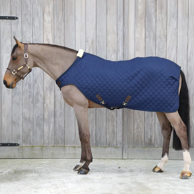 Kentucky 160g Walker Rug - Navy