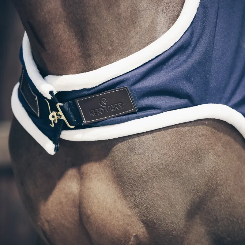 Kentucky 160g Waterproof Walker Rug - Navy-1