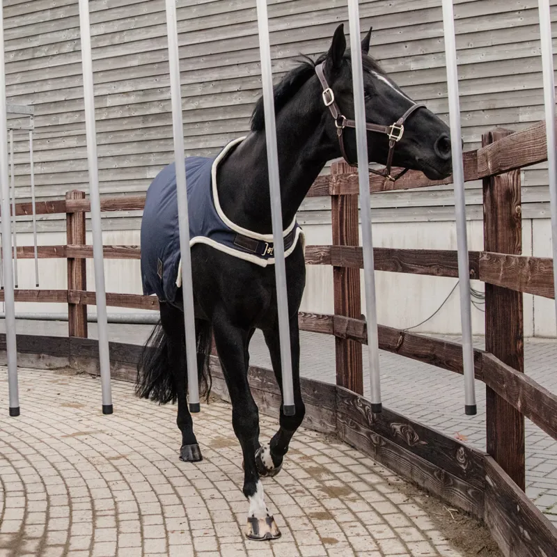 Kentucky 160g Waterproof Walker Rug - Navy-4
