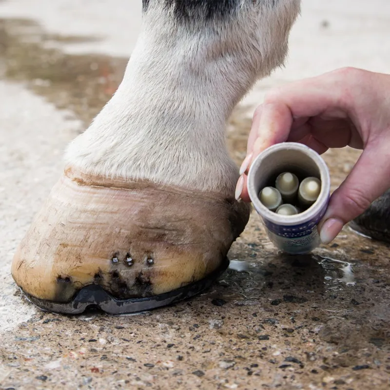 Keratex Cosmetic Hoof Filler - Dark Hooves-3