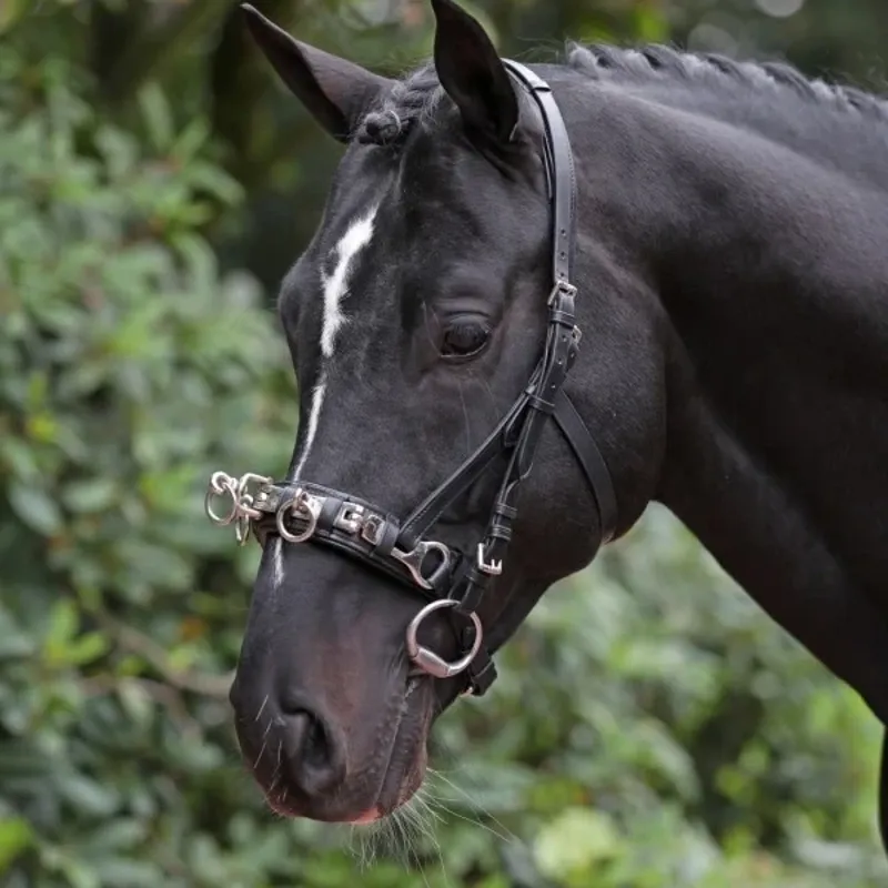 Kerbl Exklusiv Leather Lunge Cavesson - Black-1