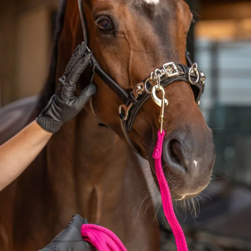 Kerbl Exklusiv Leather Lunge Cavesson - Black-2