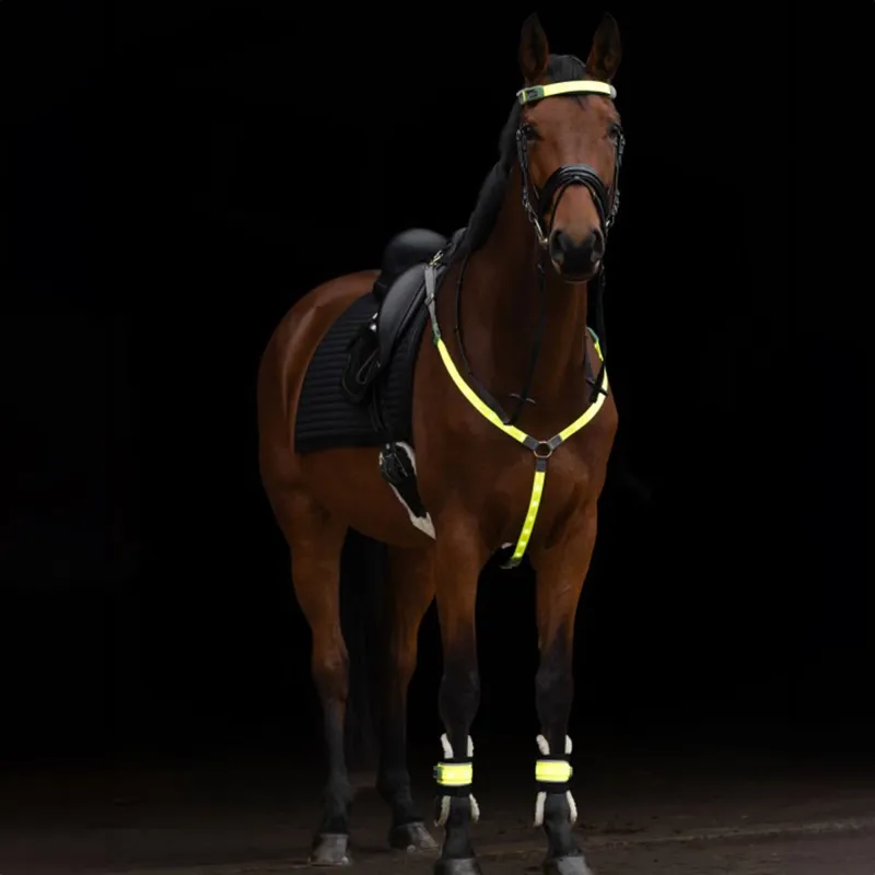 Kerbl Illuminated LED Hi-Viz Leg Bands - Yellow-4