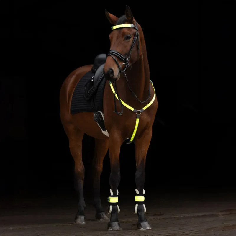 Kerbl Illuminated LED Hi-Viz Leg Bands - Yellow-6