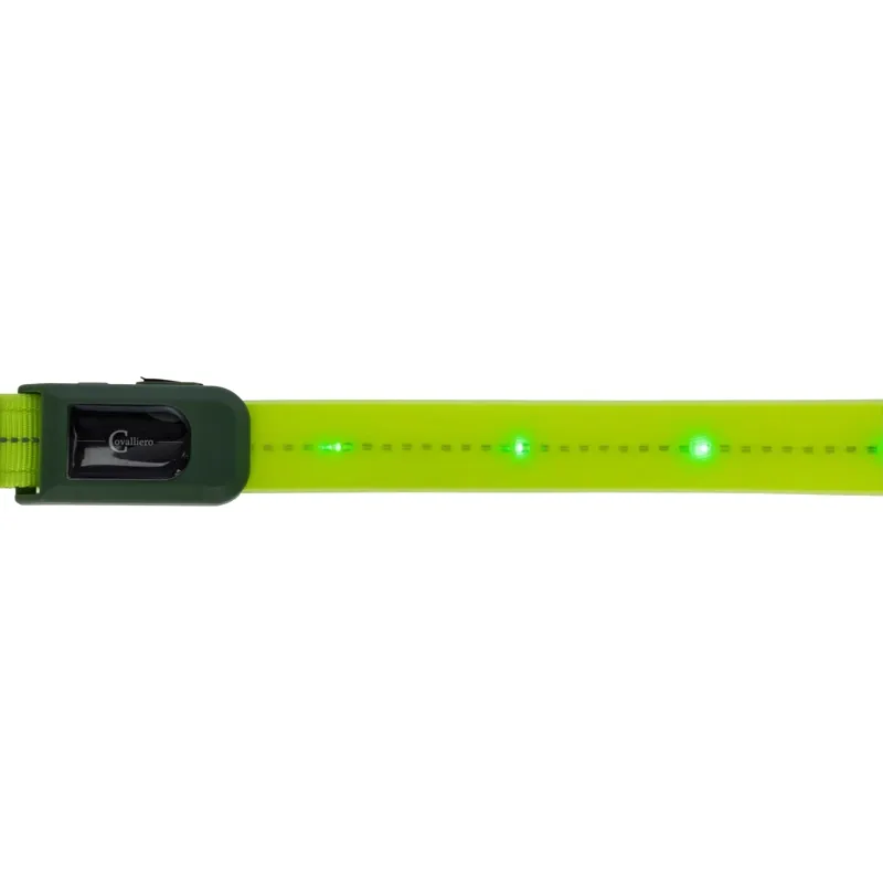 Kerbl LED Hi-Viz Browband Head Strap - Yellow-1